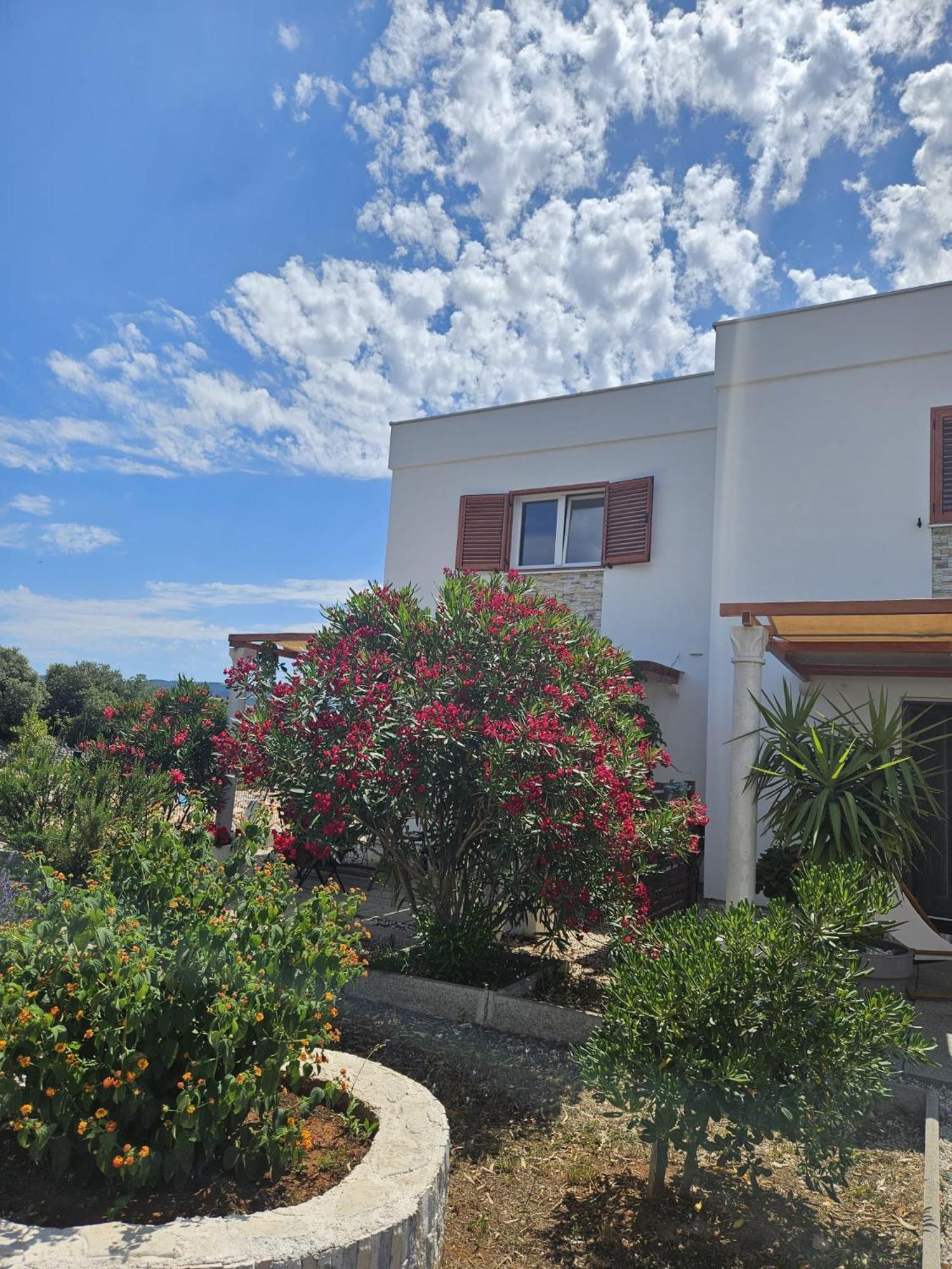 Apartments Cvijet Mora سريسر المظهر الخارجي الصورة